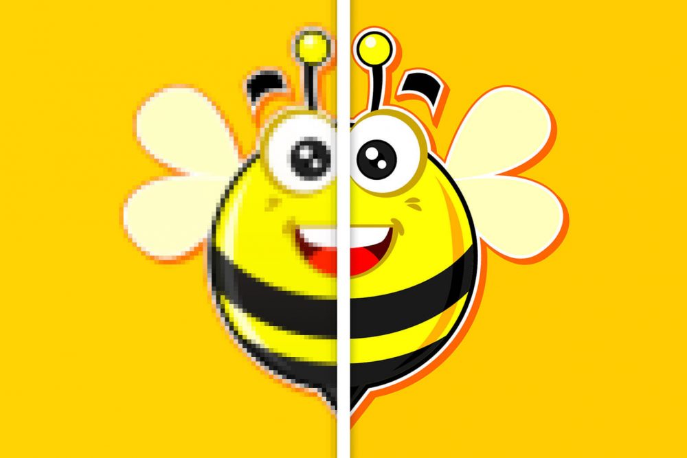 macfamilytree 8 discount macfamilytree 8 discount